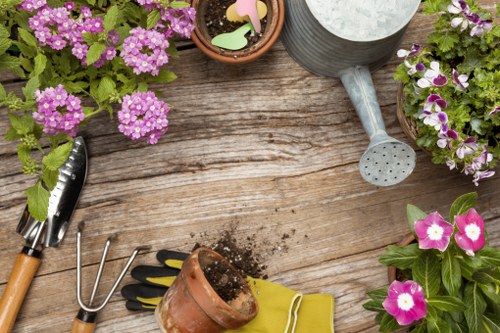 Professional gardening services in Enfield Town for tidy outdoor spaces