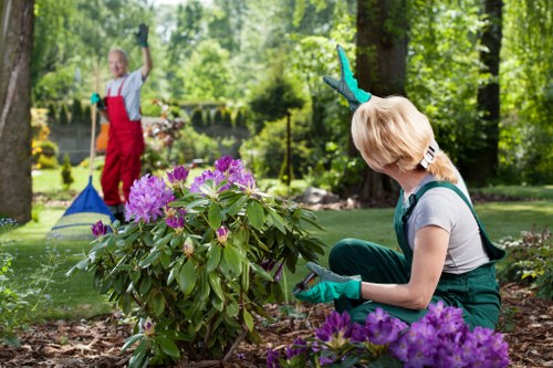 Garden maintenance in Enfield Town with local gardening expertise