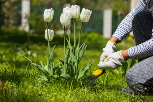 Professional garden care and planting in Enfield Town