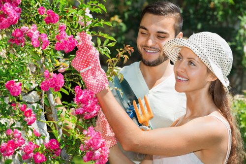 Residential gardening services in Enfield Town with hedge and lawn care