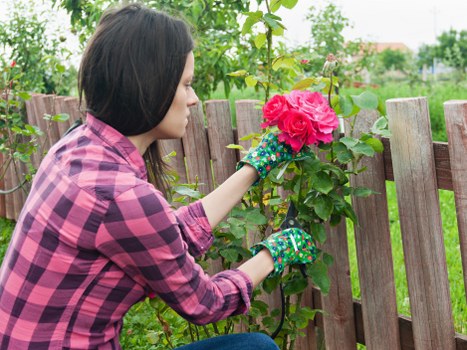 Organic garden waste prepared for composting and recovery