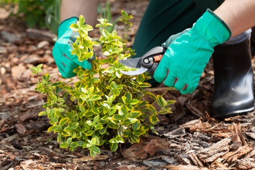 Service improvement through gardener complaints handling