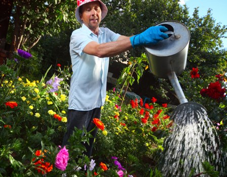 Seasonal garden waste collection and clearance in Enfield Town