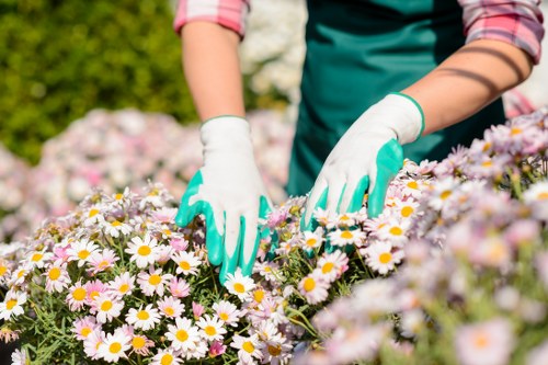Reviewing a gardener service concern