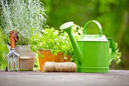 Healthy green lawn as part of garden maintenance in Enfield Town