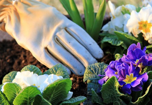 Green waste and hedge cuttings measured for a cubic-yard garden quote