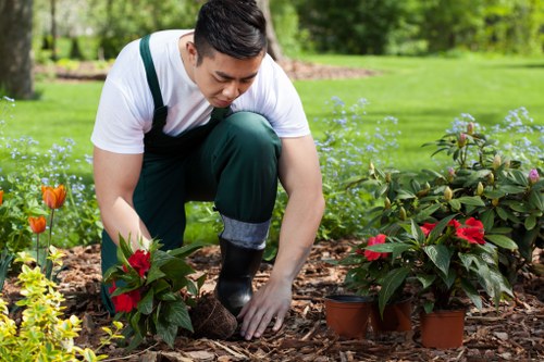 Hard and soft landscaping elements in an Enfield Town garden design