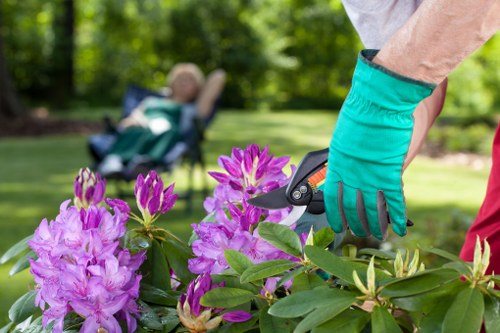 Tidy garden borders and weed control in Enfield Town