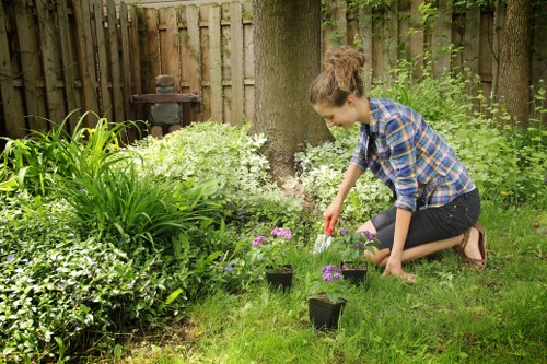 A beautifully maintained garden in Enfield Town after professional care