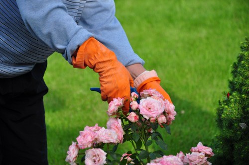Seasonal garden maintenance by Enfield Town gardeners