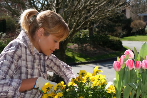 Safe working practices with clear site management in a garden area