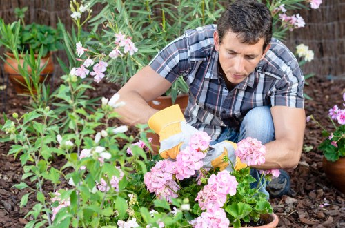 Professional Enfield Town garden maintenance in a residential outdoor space