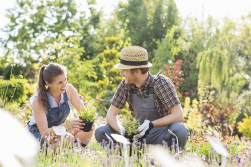 Seasonal lawn maintenance work in Enfield Town